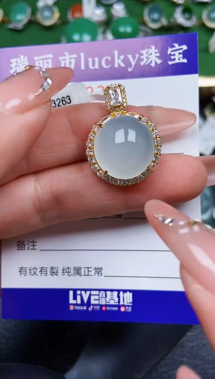 【闪购商品】翡翠颈饰银S925镶嵌0231