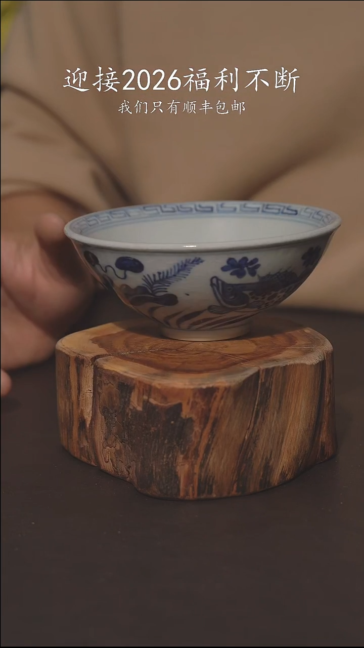 老柴叶烧不退不换277