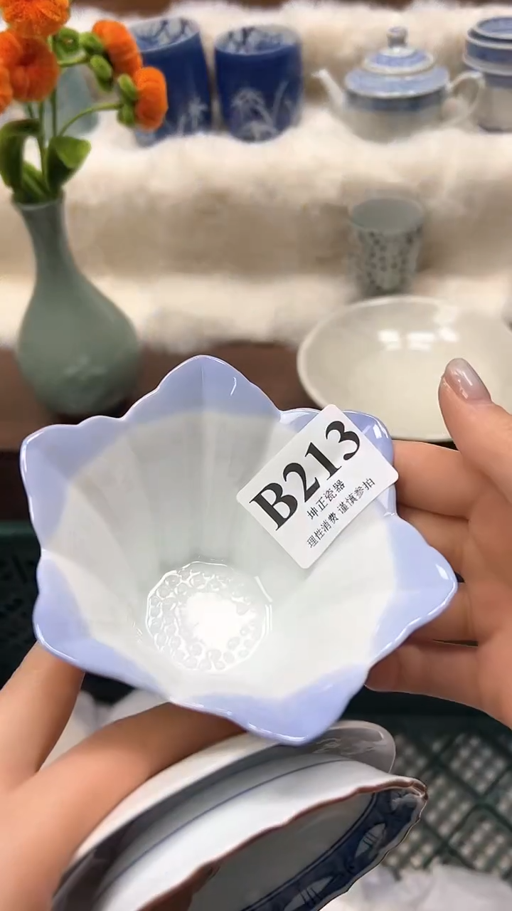 【闪购商品】瓷片          B213