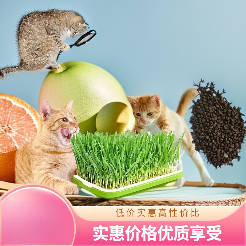 【大牌猫草特惠】猫草不仅是绿叶, 更是喵星人的健康之选（不含盆）