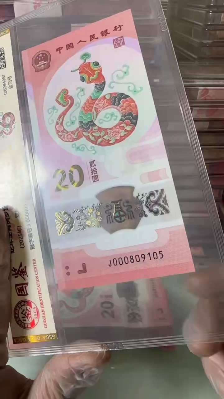 【闪购商品】塑料000809105-蛇钞单张！