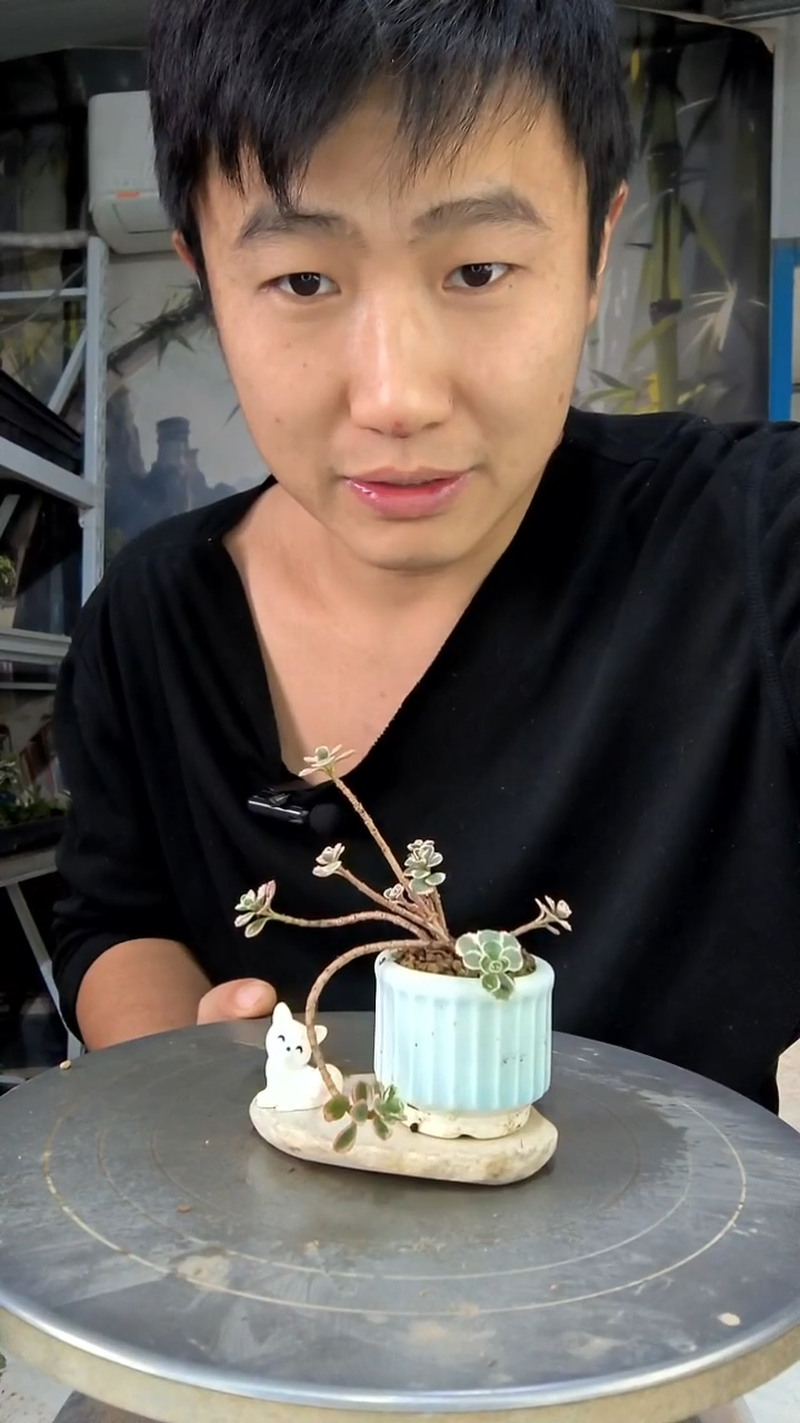 生***战中青园艺一物一拍花116