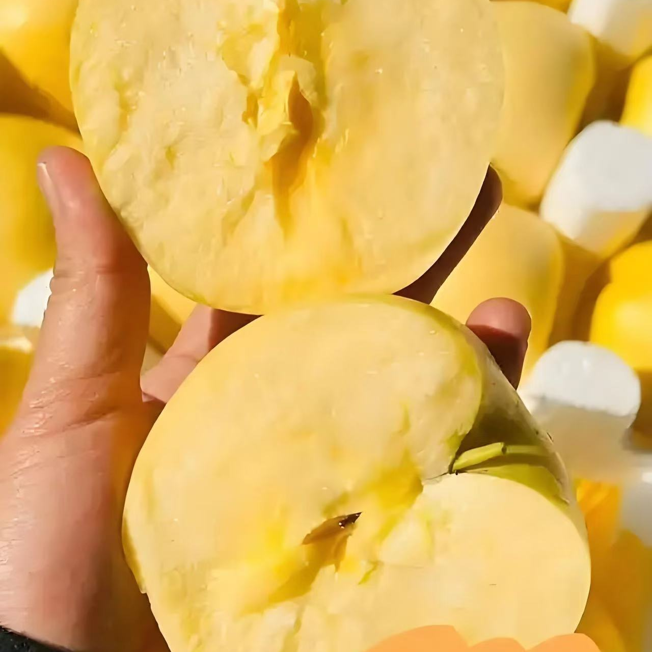 黄金维纳斯苹果脆甜多汁四斤装山东省