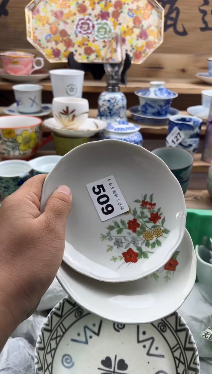 【闪购商品】瓷片瓷器          509