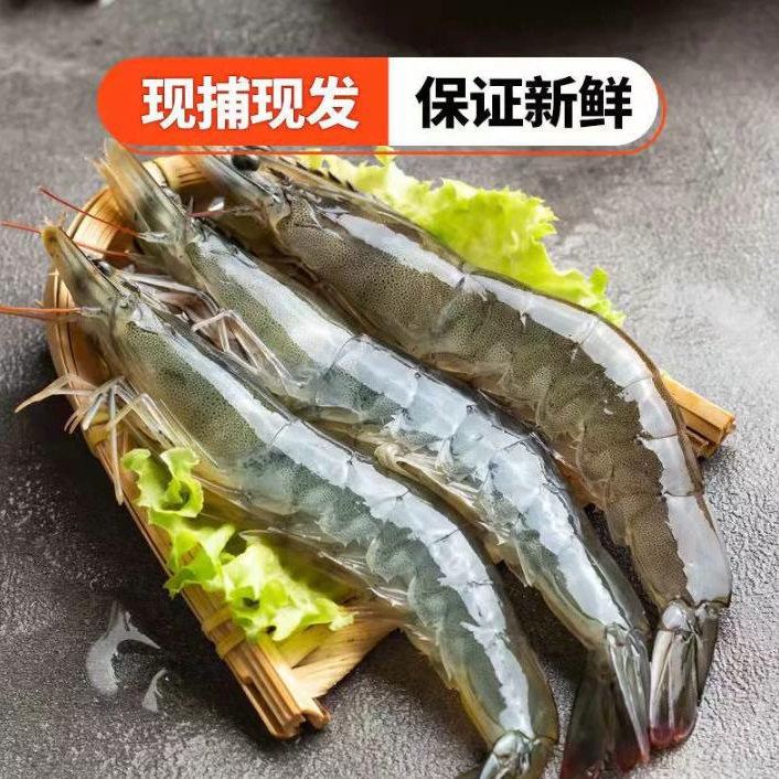 虾爷爷30-40）海捕新鲜大虾虾子气冻虾国产虾鲜活冷冻超大冰鲜大虾