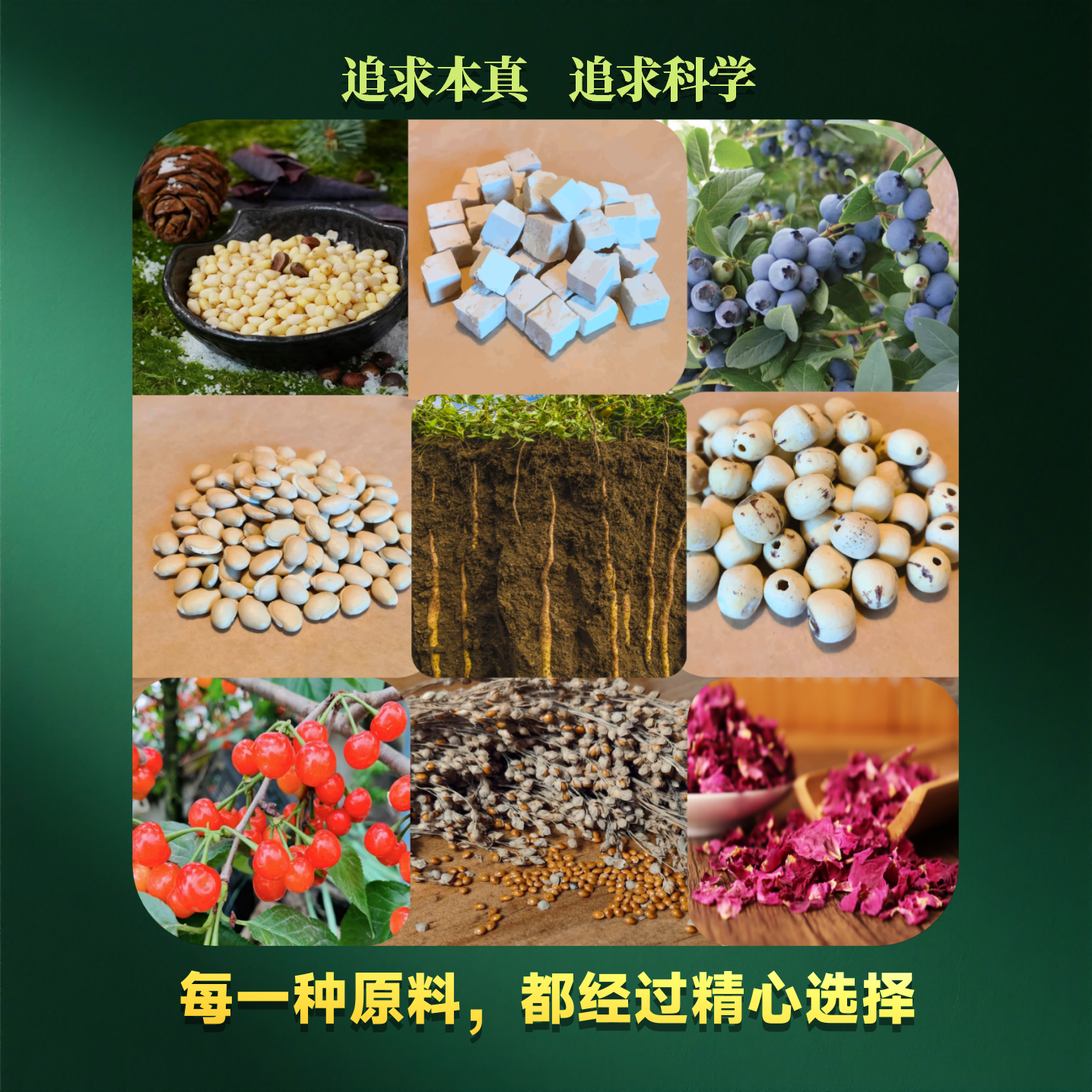 滋岁园茯苓米糊早餐晚餐代餐粉未加蔗糖佳节送好礼必备礼品品质好