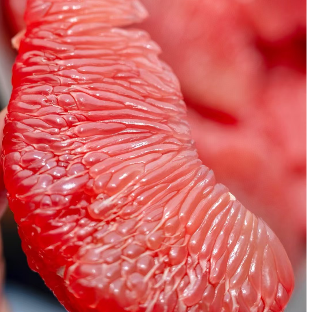 【思璇推荐】国产红宝石蜜柚1个