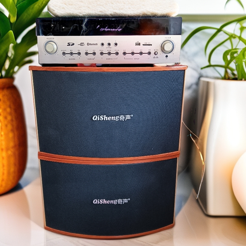 9新  奇声10寸卡包一对，运费到付