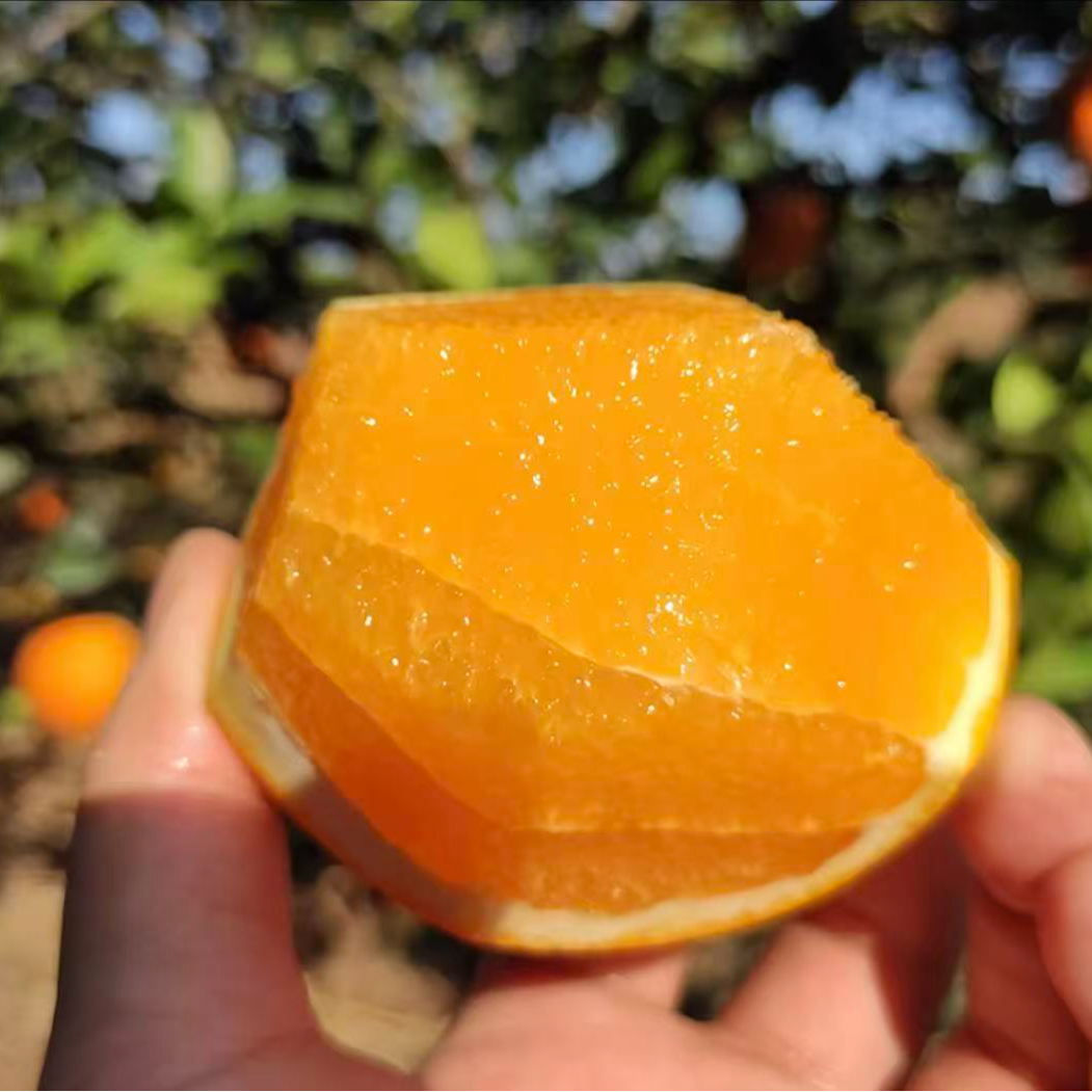 粉丝福利 赣南脐橙 净果6斤 顺丰包邮江西省