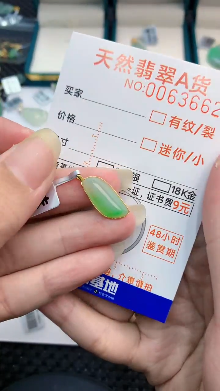 【闪购商品】翡翠颈饰18K金镶嵌            8