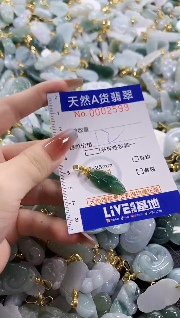 颈饰未镶嵌翡翠天然A货翡翠