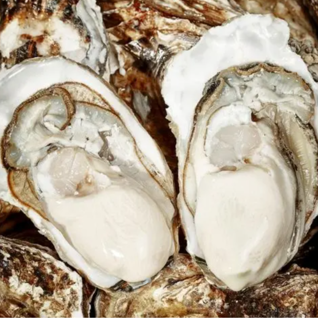 乳山生蚝