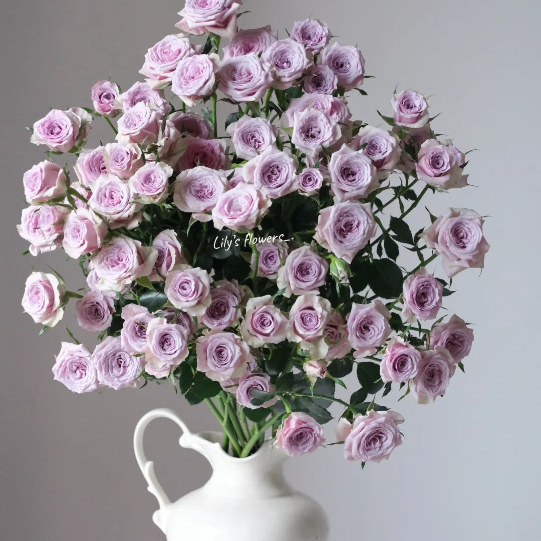 【莱拉】多头泡泡，云南鲜花基地直发