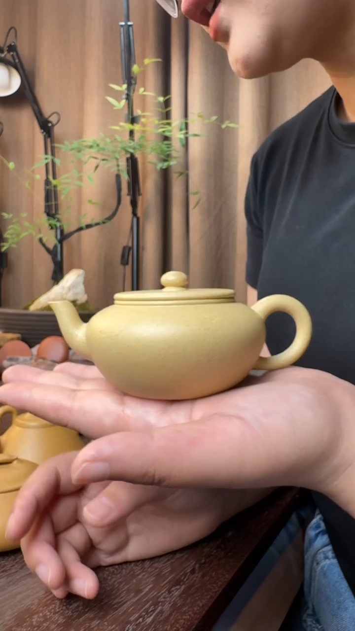 大水潭本山绿泥-舒源（半手精工制作）170CC