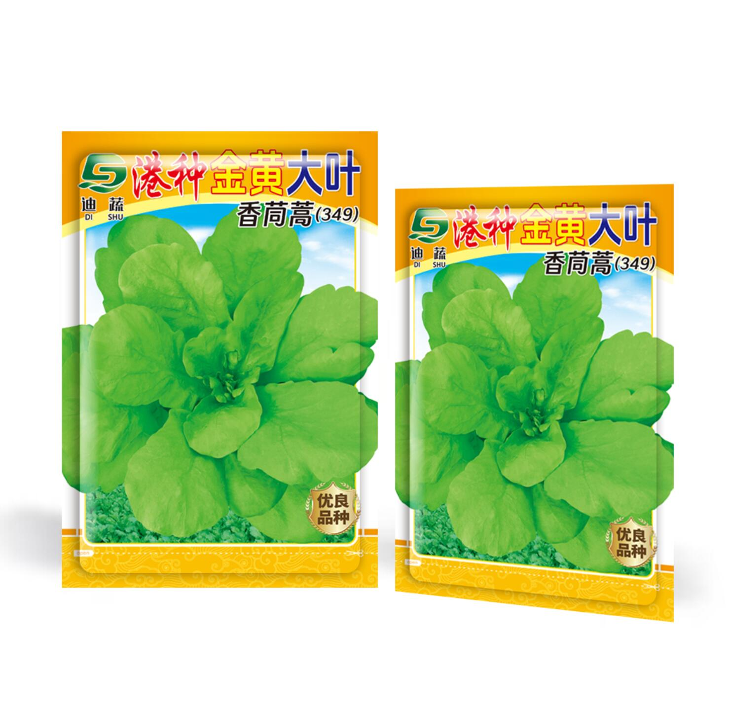 大叶茼蒿种子四季可种适合室内盆栽田园种植蔬菜种子