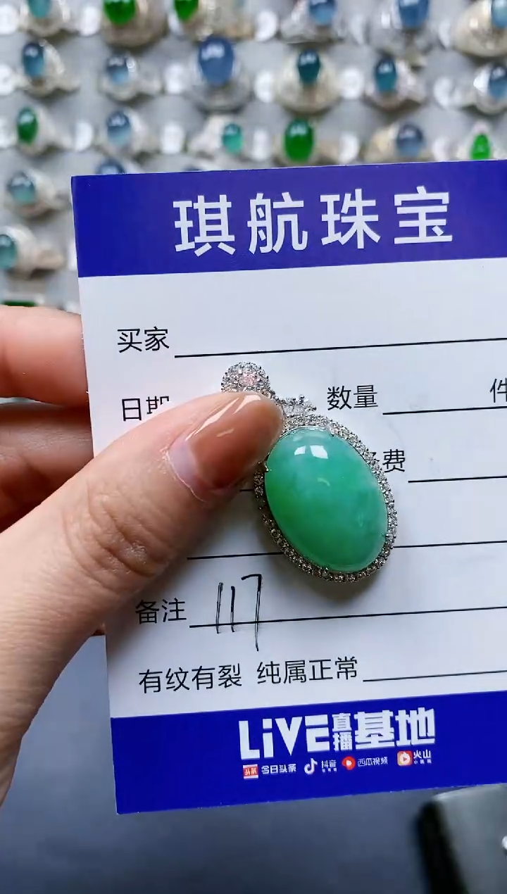 【闪购商品】翡翠颈饰银S925镶嵌0117