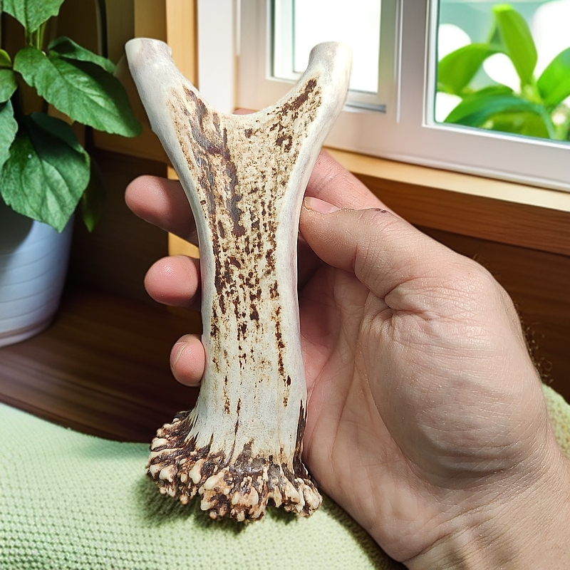 鹿角弹弓直板弓驼角