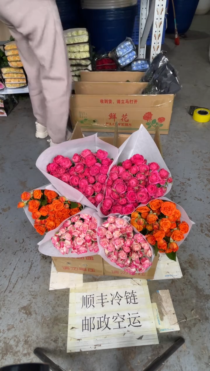 折射10枝+橙色芭比10枝+苏菲10枝