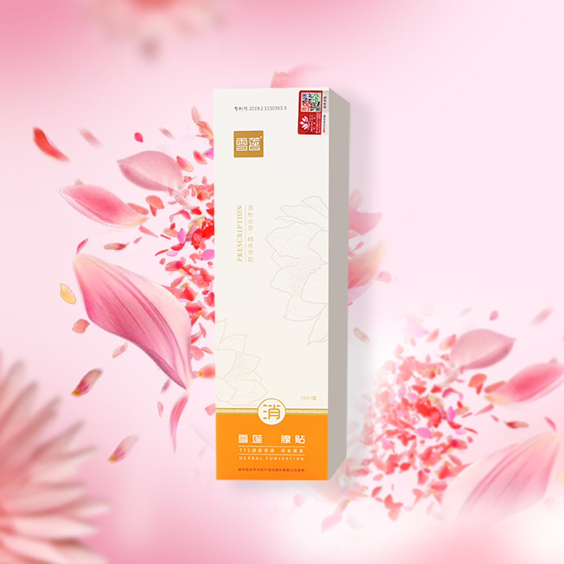 【倩哥专享】雪莲乳腺滋养贴平衡菌群护理用品（大）