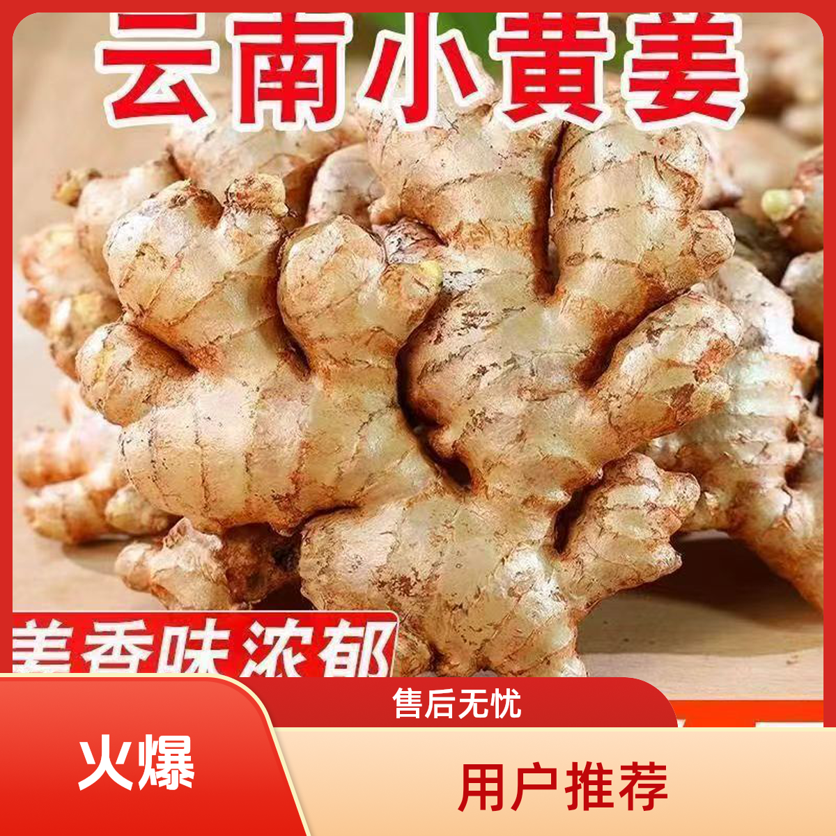 云南小黄姜产地直销新鲜小黄姜老姜现挖现发新鲜老姜特价老姜必存