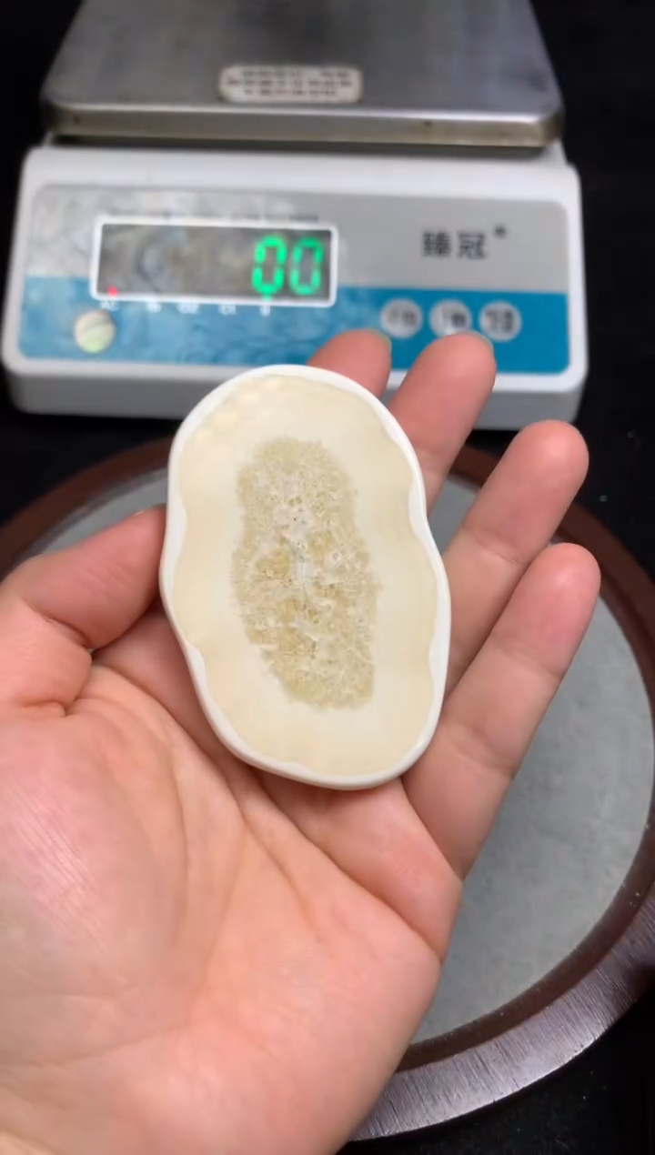 【闪购商品】橄榄核手串/手链猛犸猛犸猛犸猛犸R7