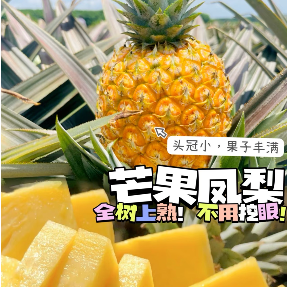 【双福翠宝宝】芒果凤梨 海南当季鲜果 高甜多汁 只发川渝