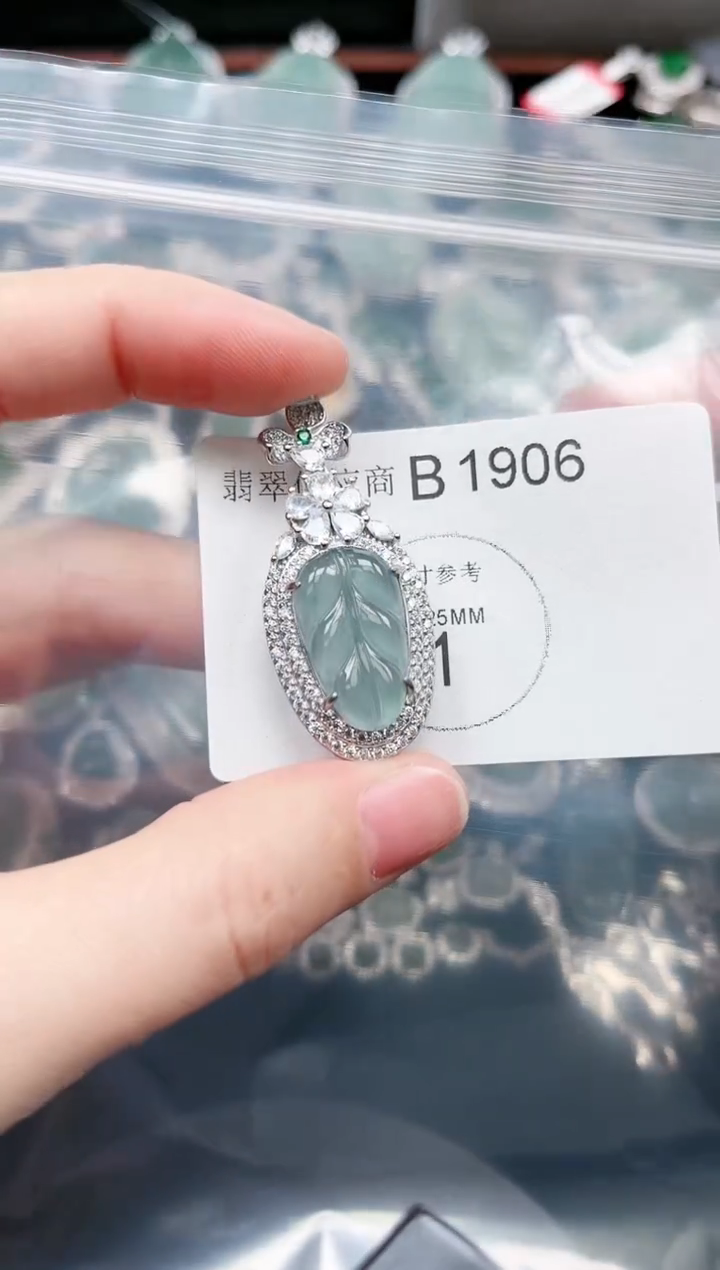 【闪购商品】翡翠颈饰未镶嵌赠皮绳1906