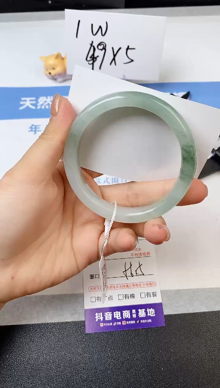 【闪购商品】石英质玉手镯未镶嵌s249-PA-56.5