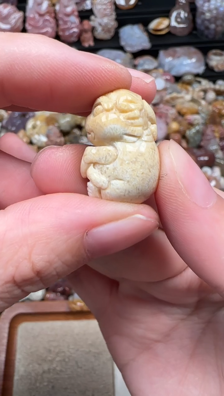 颈饰未镶嵌硅化珊瑚（珊瑚玉）879