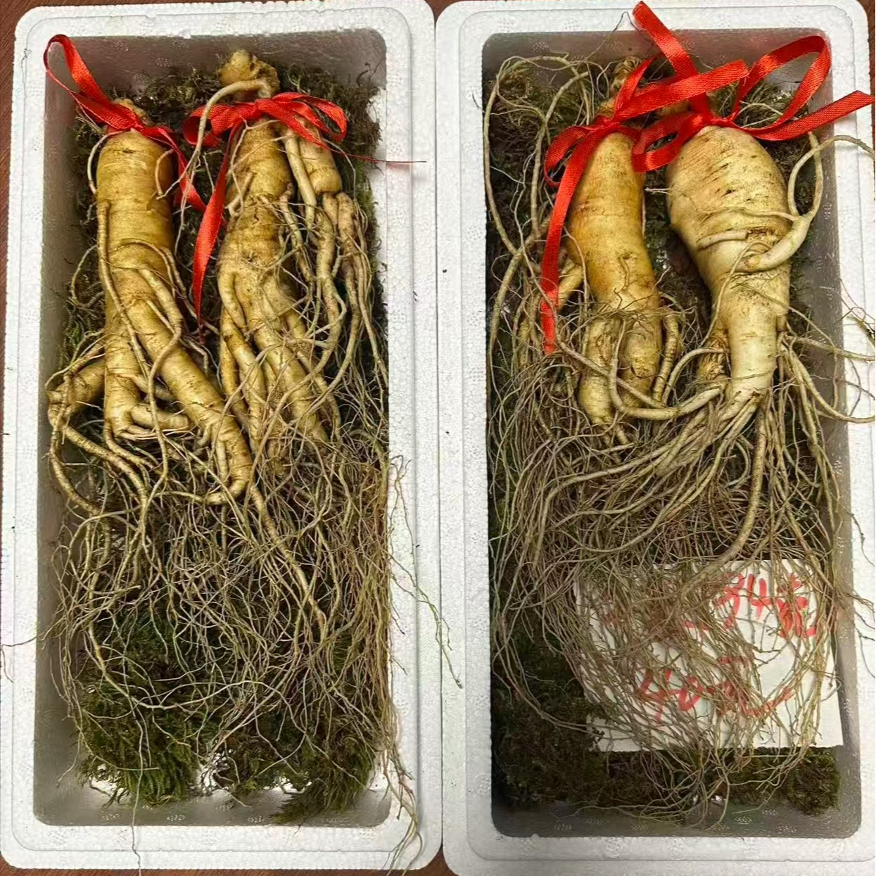 福利款  长白山鲜人参 泡酒大参 两支190克左右 泡酒煲汤