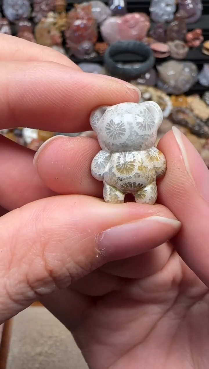 颈饰未镶嵌硅化珊瑚（珊瑚玉）077