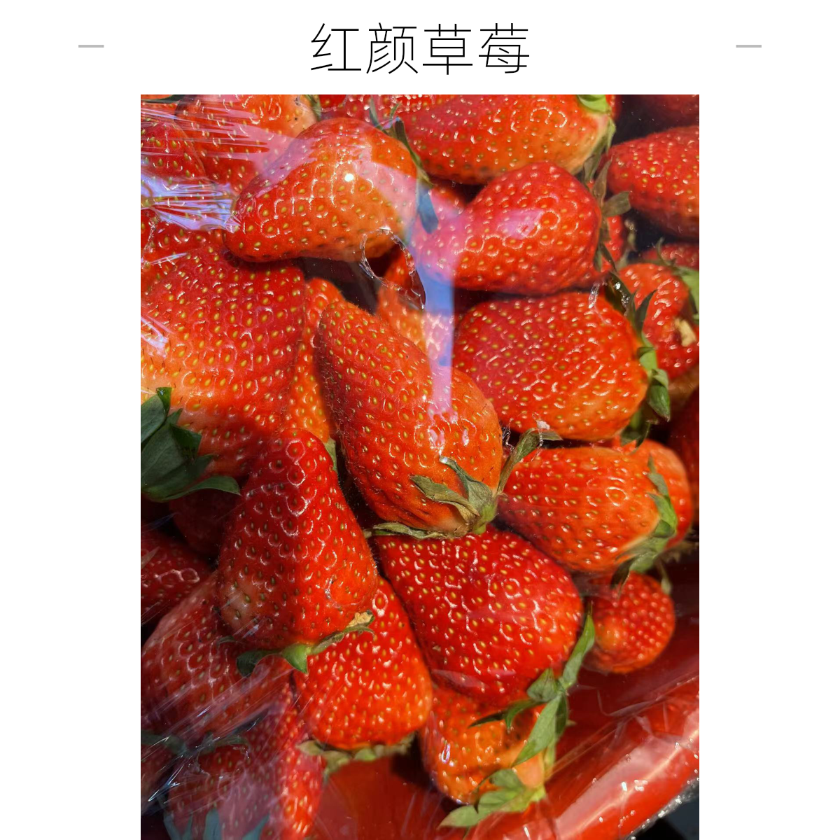 红颜草莓（香甜可口，28元1斤）