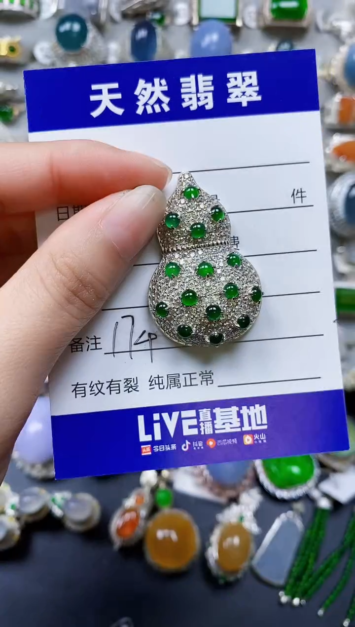 翡翠银S925镶嵌颈饰0174