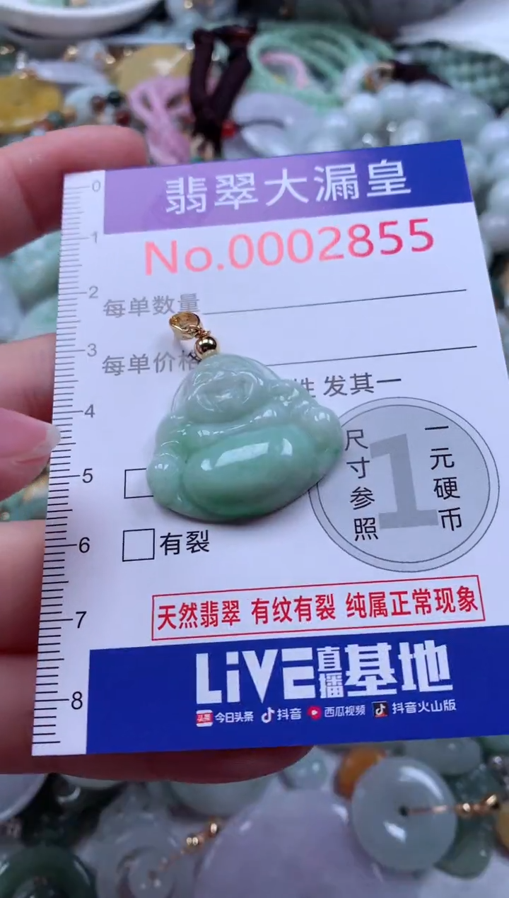 翡翠未镶嵌吊坠(不含链)2855
