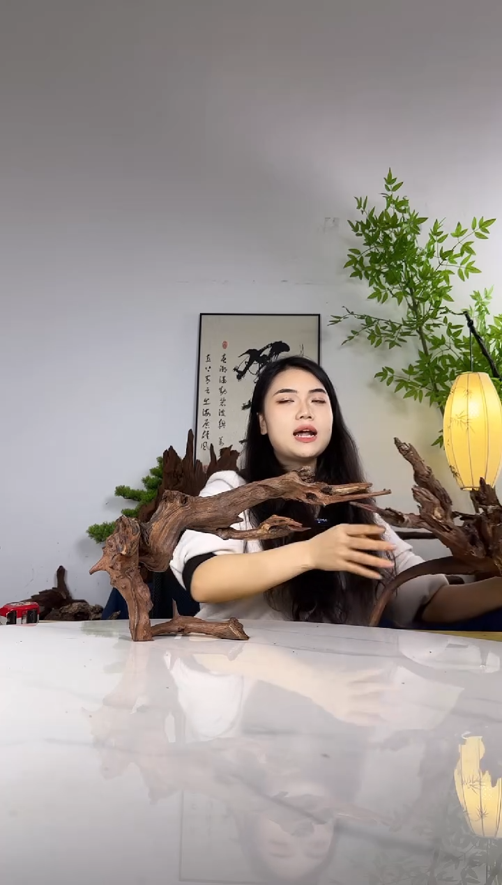 遂*拍沉木定向链接编号74