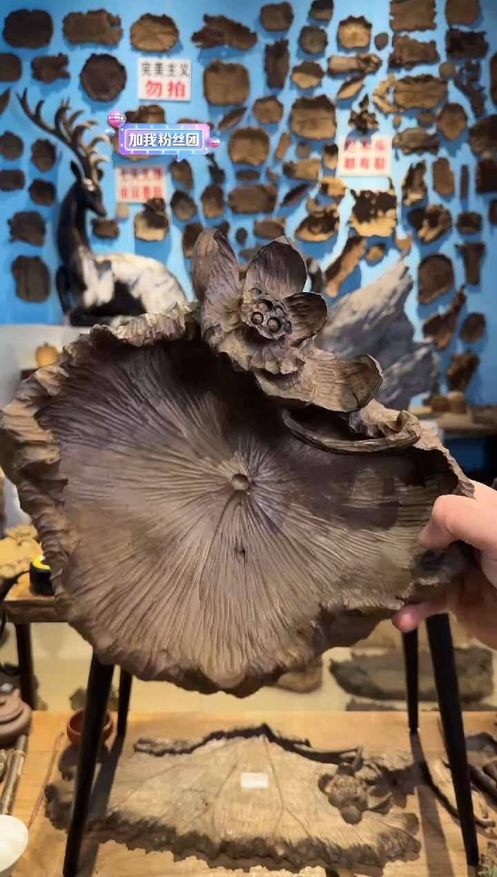 【闪购商品】木644号乌木金丝楠果盘