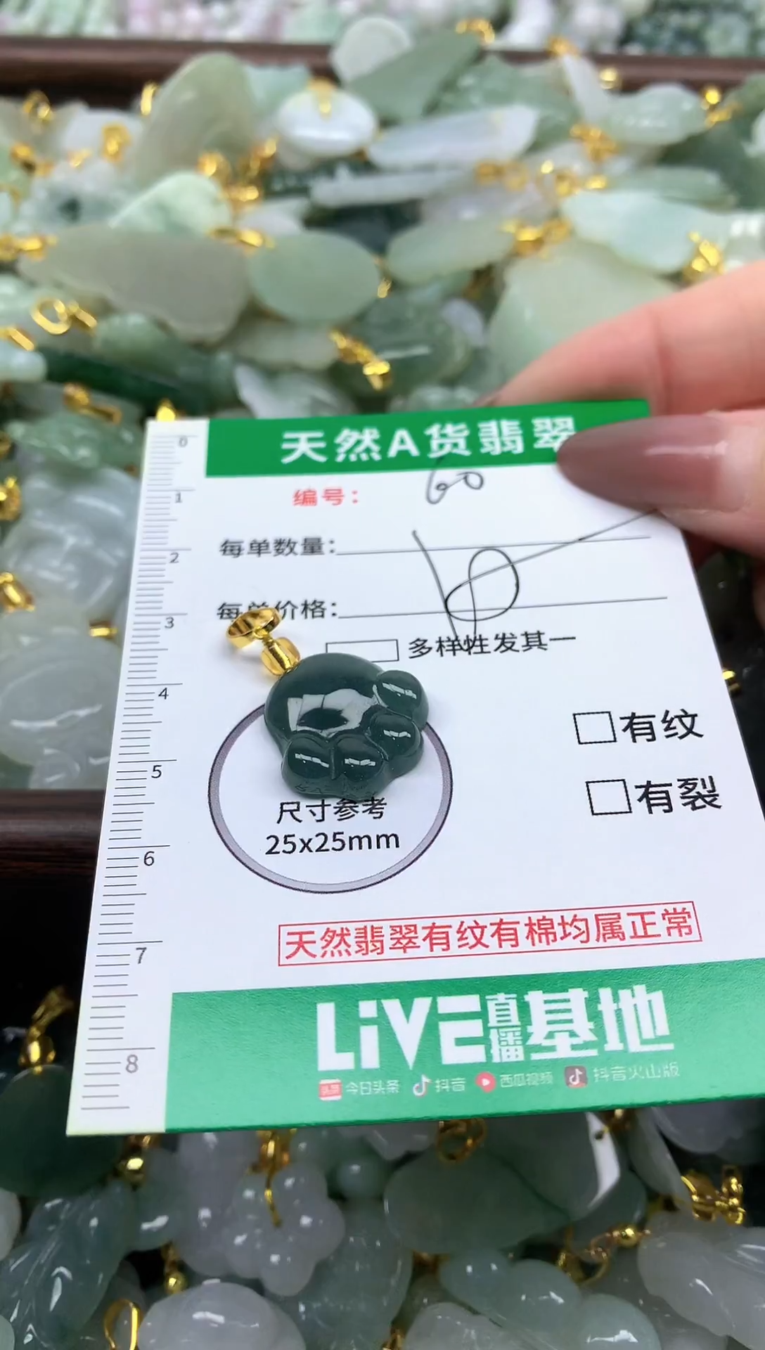颈饰未镶嵌翡翠纯天然缅甸A货翡翠-60
