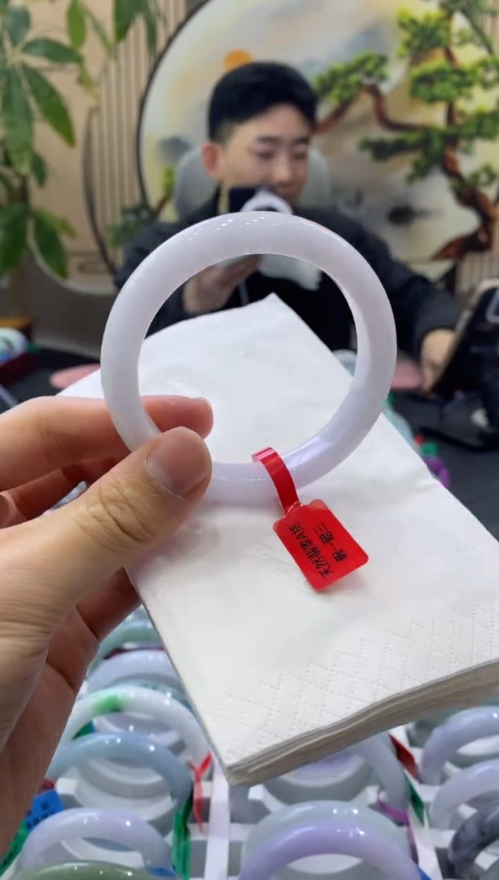 未镶嵌手镯翡翠9307