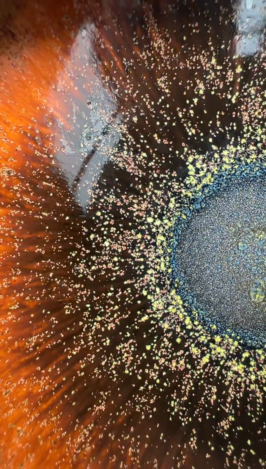 【闪购商品】茶盏老表精选柴烧58