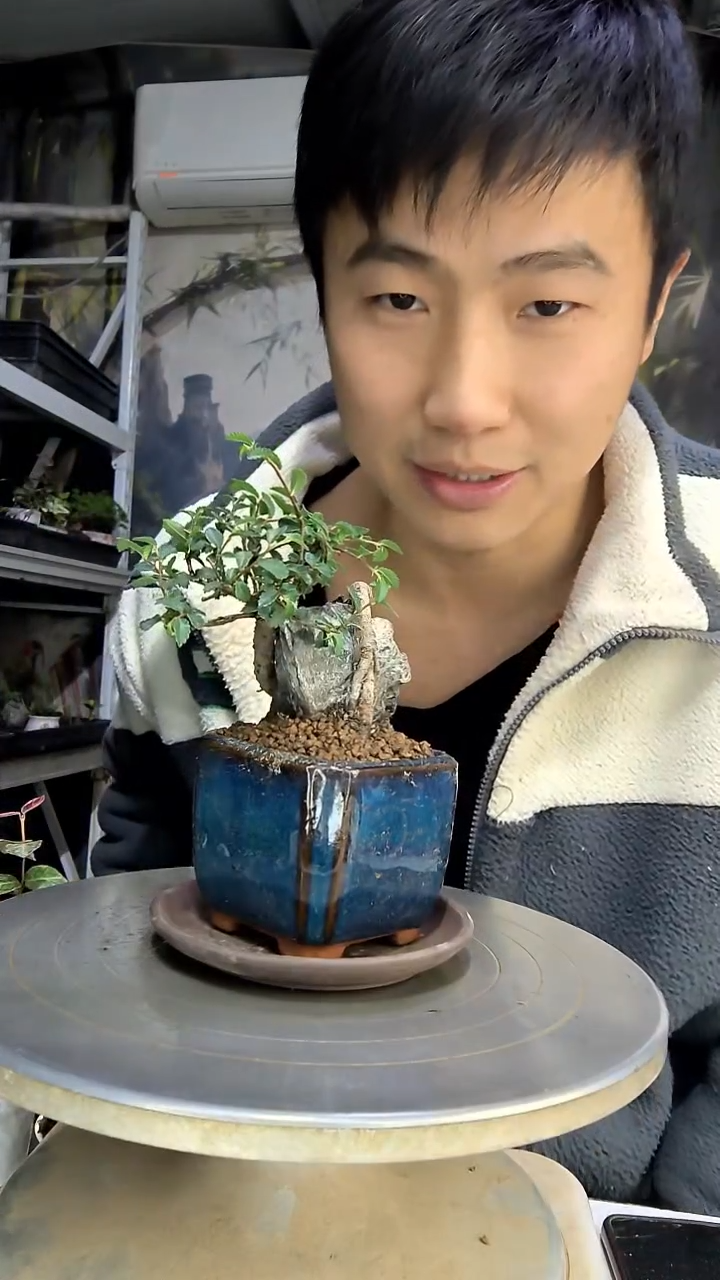 心*中青园艺一物一拍花53