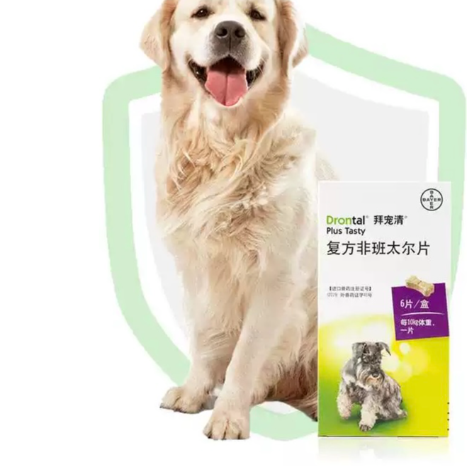 拜宠清狗狗益生菌