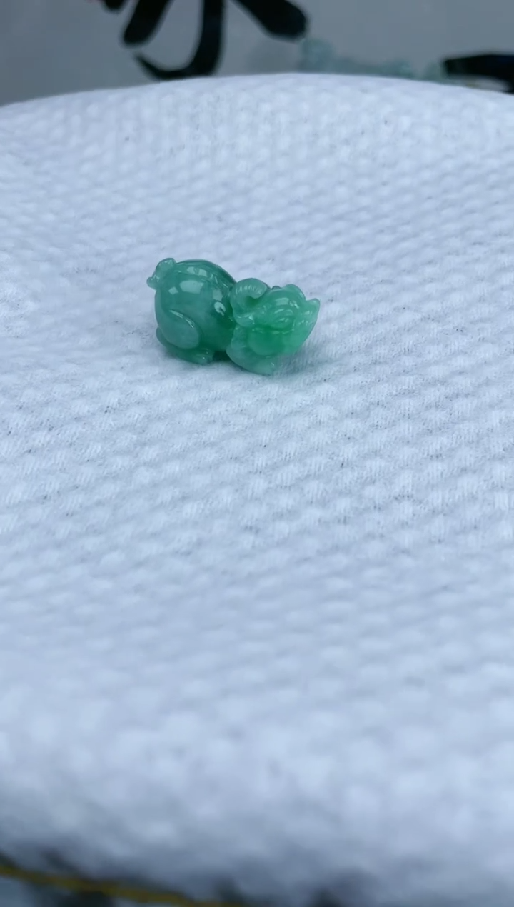 【闪购商品】翡翠颈饰未镶嵌貔貅