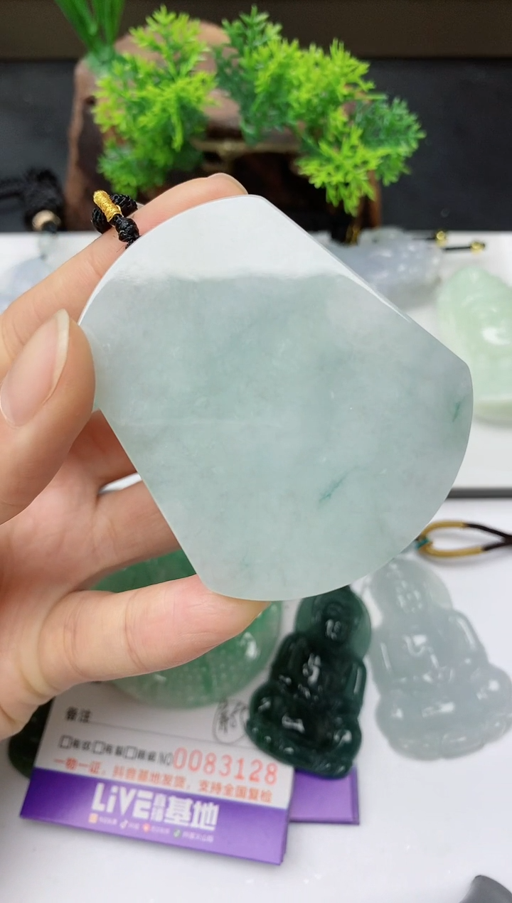 【闪购商品】翡翠颈饰未镶嵌         