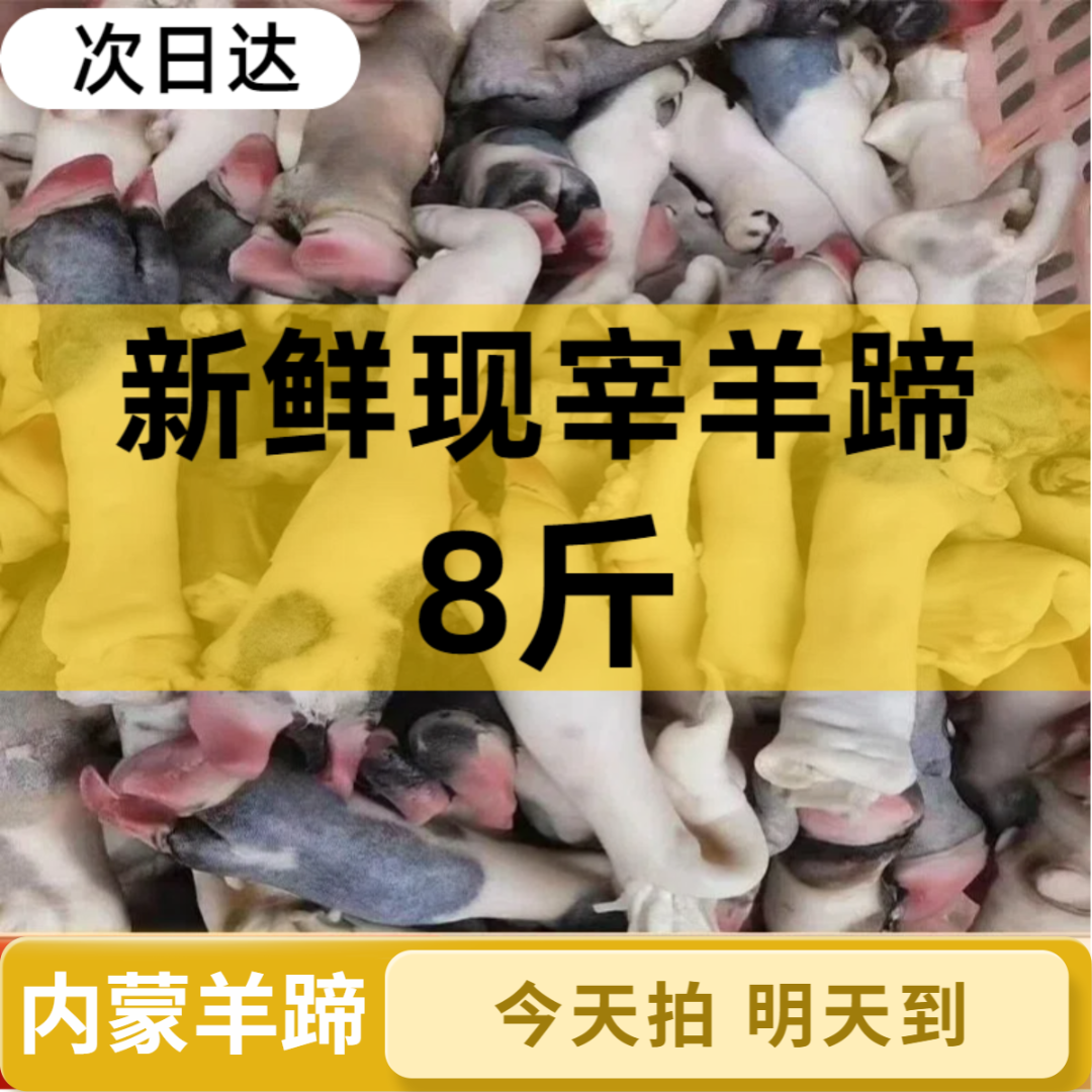S新鲜羊蹄子（拍5斤送3斤）生羊蹄带筋带骨现杀生羊蹄麻辣羊蹄羊肉