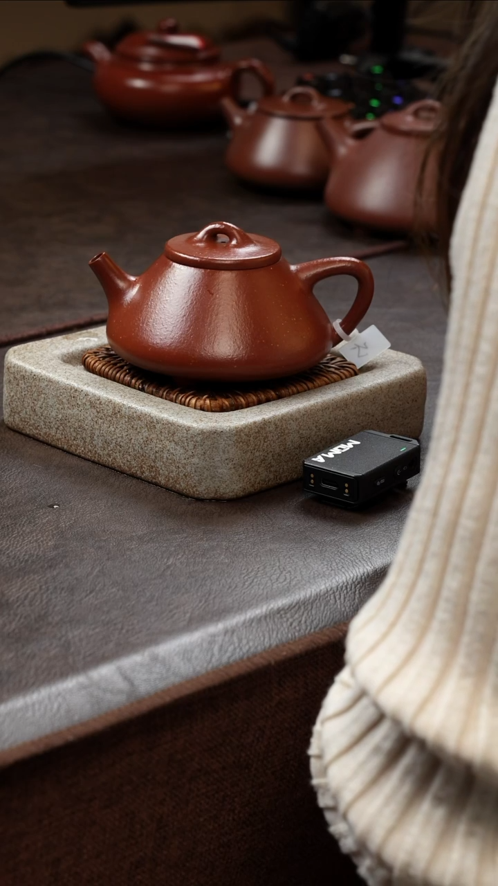 【闪购商品】紫砂茶壶111111111111111