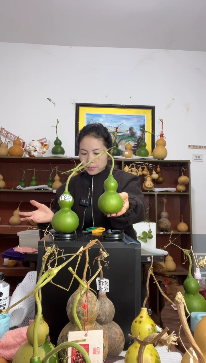 曾*537天然葫芦摆件 一物一拍龙头不保售后连枝