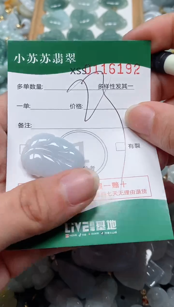 【闪购商品】翡翠颈饰未镶嵌闪购商品0116192