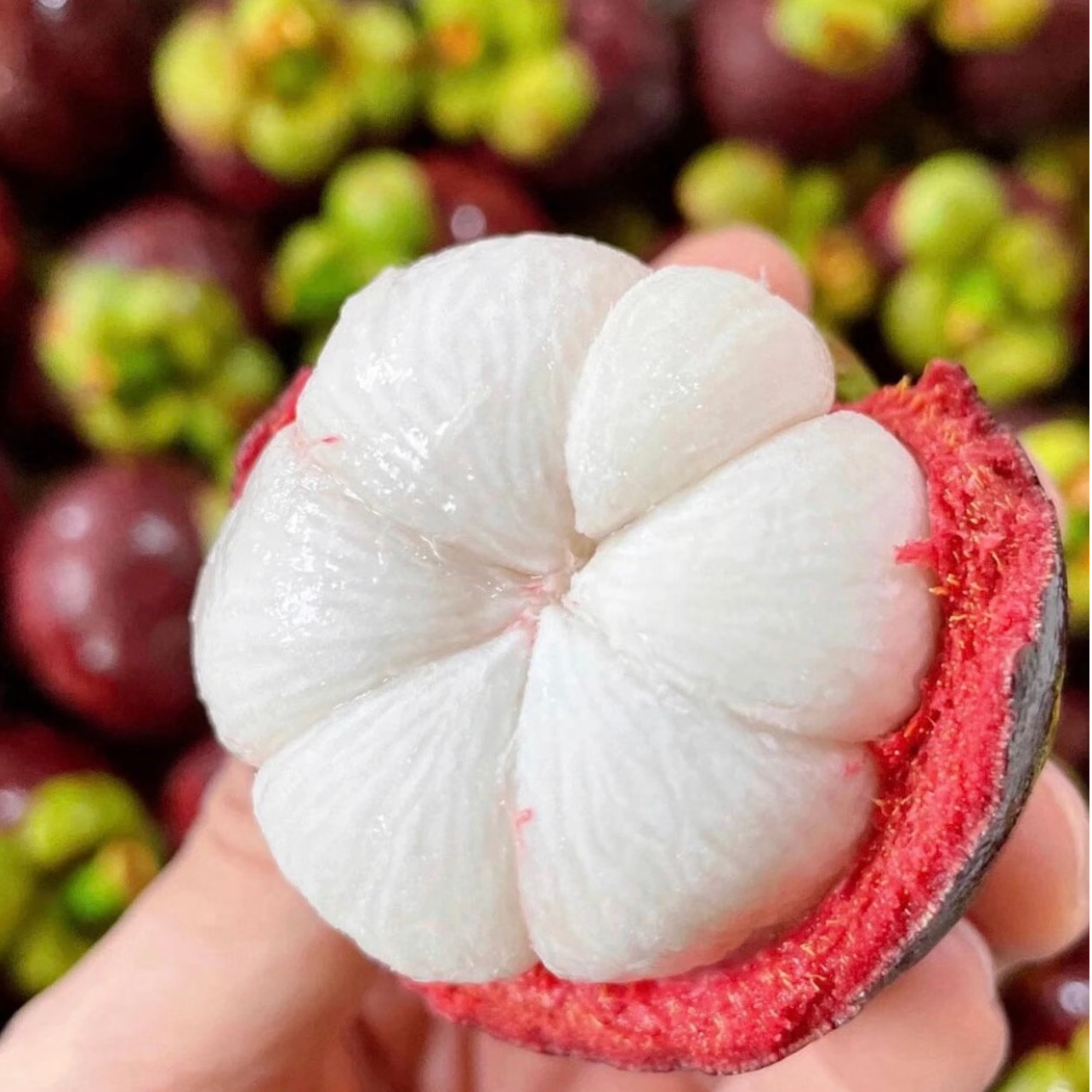 【次日达】泰国进口新鲜山竹水果皇后 白嫩多汁 老树山竹3A 7斤±50克净果原箱发货