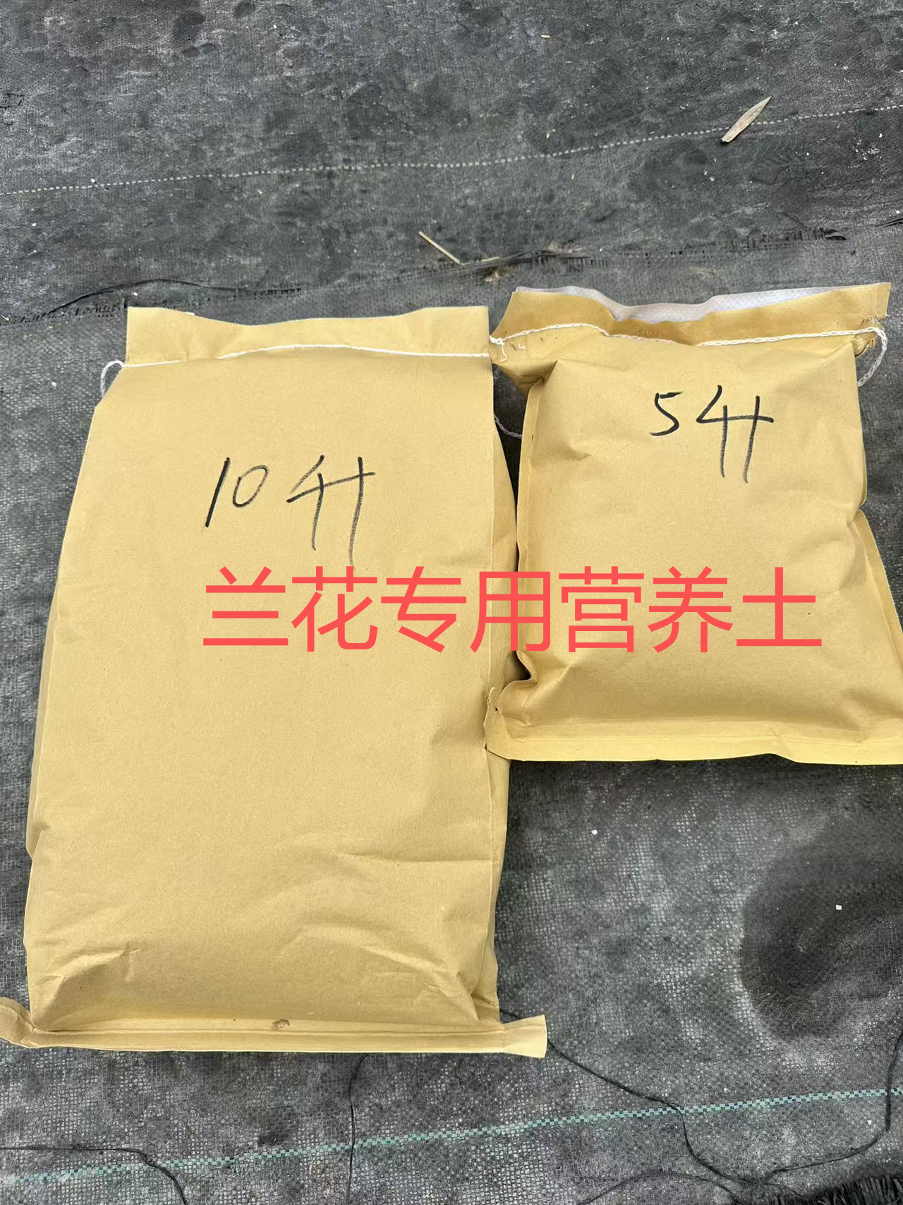 盆景兰花专用土（自用）