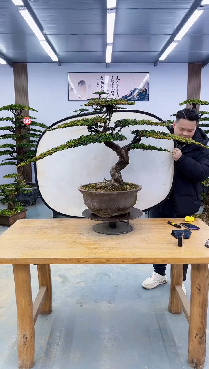 以实际为准旺*000000